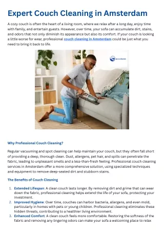 Expert Couch Cleaning in Amsterdam