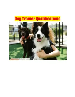 Dog Trainer Qualifications