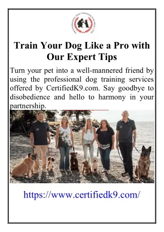 train your dog like a pro with our expert tips