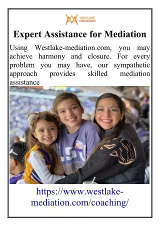 Expert Assistance for Mediation