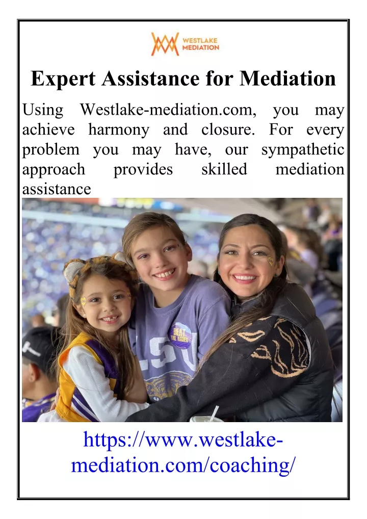 expert assistance for mediation