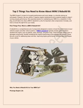 MINI S Rebuild Kit