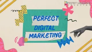 Top Charleston Local SEO Services: Leading SEO Firm in Charleston