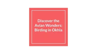 Discover the Avian Wonders_ Birding in Okhla