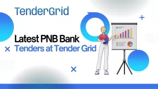 PNB Bank Tenders at Tender Grid