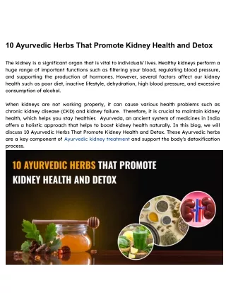 10 Ayurvedic Herbs That Promote Kidney Health and Detox