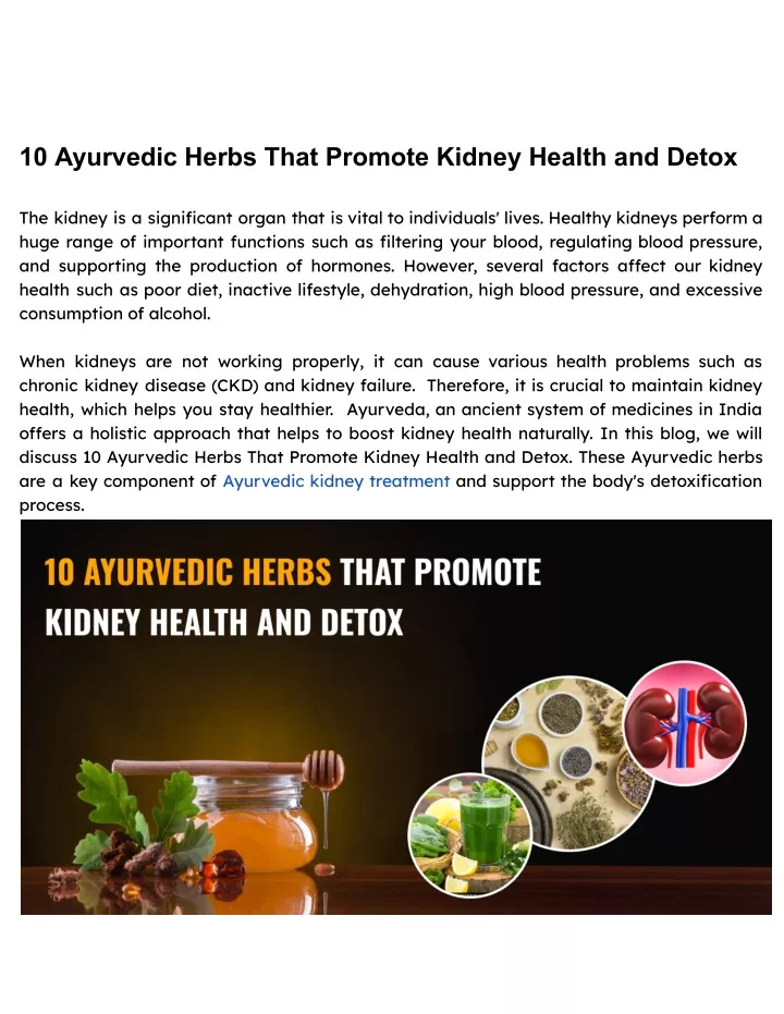 10 ayurvedic herbs that promote kidney health