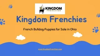 French Bulldog Puppies For Sale Ohio