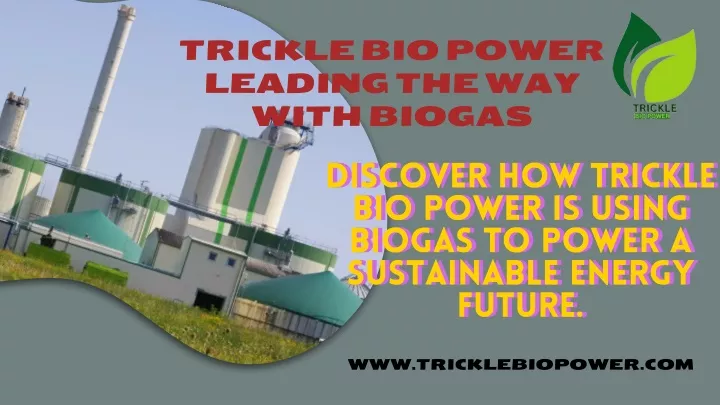 trickle bio power leading the way with biogas