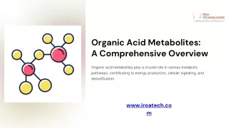 Key Pathways Involving Organic Acid Metabolites