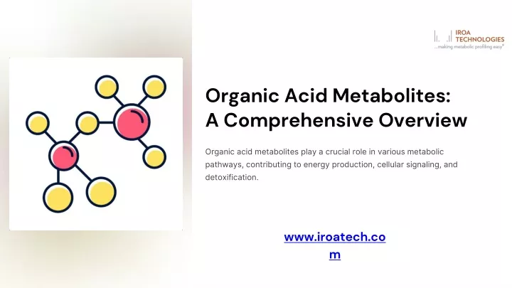 organic acid metabolites a comprehensive overview