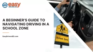 Beginner’s Guide to Navigating Driving in a School Zone