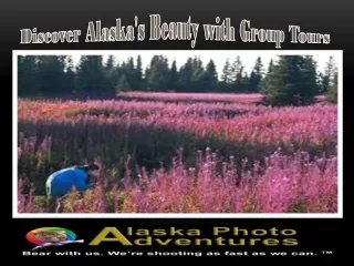 Discover Alaska's Beauty with Group Tours