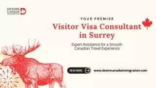 Your Premier Visitor Visa Consultant in Surrey