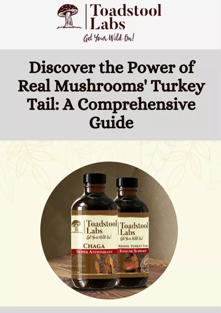 discover the power of real mushrooms turkey tail