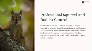 Professional Squirrel and Rodent Control | Urban Wildlife Control