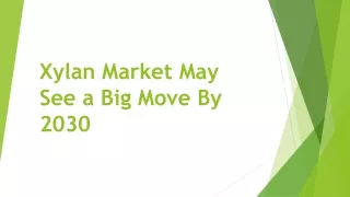 Xylan Market May See a Big Move By 2030