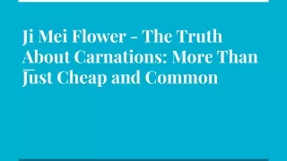 Ji Mei Flower - The Truth About Carnations_ More Than Just Cheap and Common