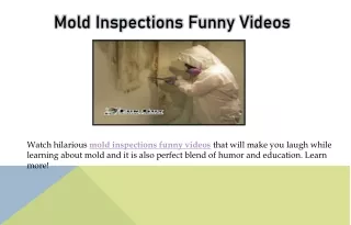 Mold Inspections Funny Videos