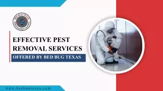 effective pest removal services
