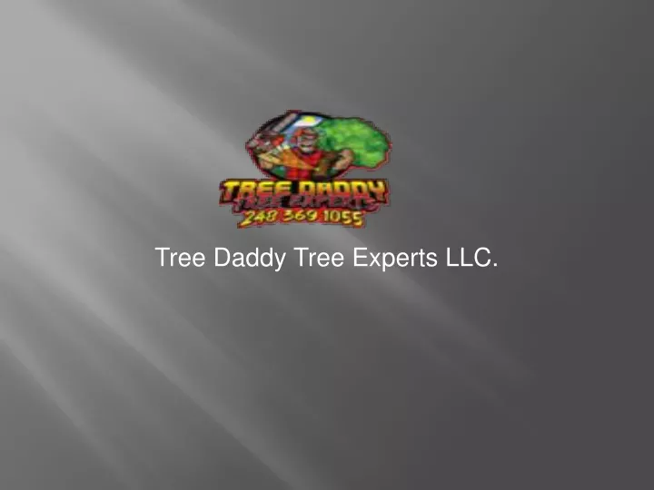 tree daddy tree experts llc