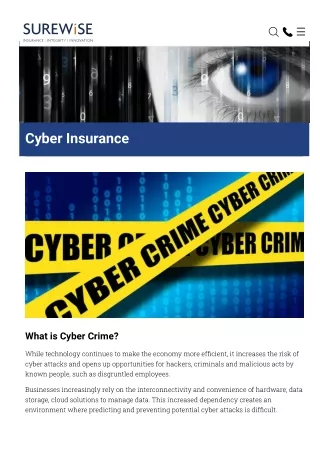 Cyber Crime Insurance