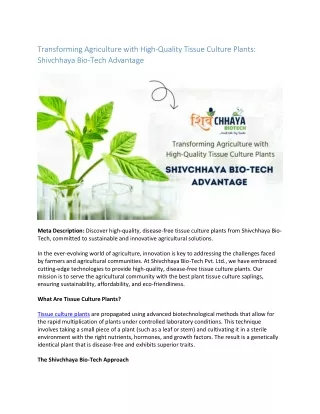 Transforming Agriculture with High-Quality Tissue Culture Plants Shivchhaya Bio-Tech Advantage