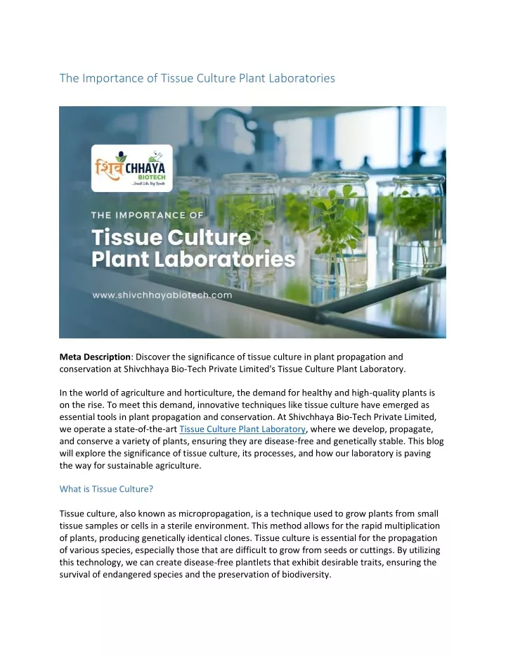 the importance of tissue culture plant