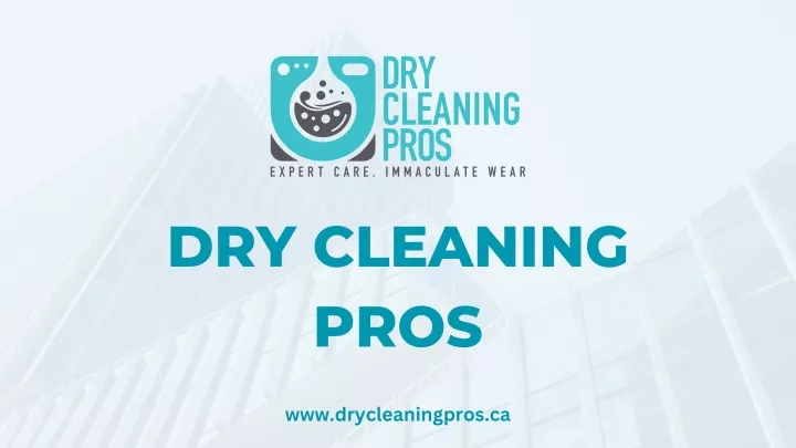 dry cleaning pros