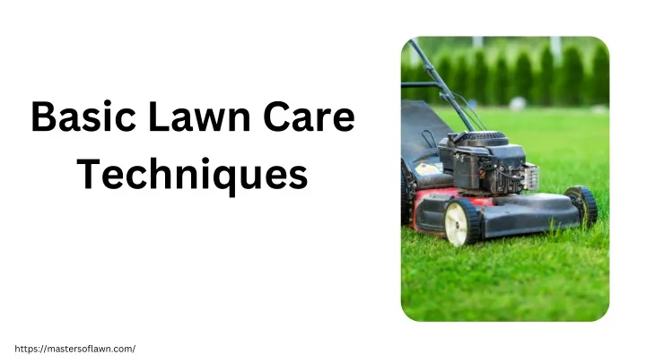 PPT - Basic technquies of lawn care - Masters of lawn PowerPoint ...