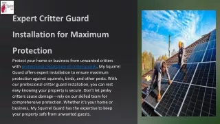 Expert Critter Guard Installation for Maximum Protection