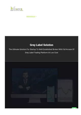 Mt4 grey label