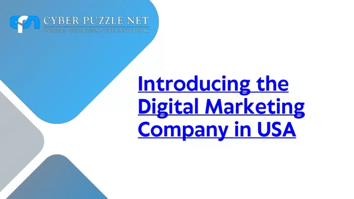 introducing the digital marketing company in usa