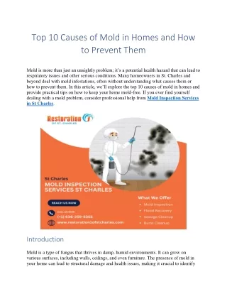 Top 10 Causes of Mold in Homes and How to Prevent Them