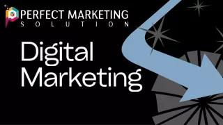 Seo Agency Columbia
