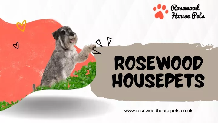 rosewood housepets