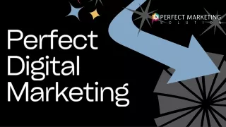 Top SEO Agency in Charleston: Expert Local SEO Services for Your Business