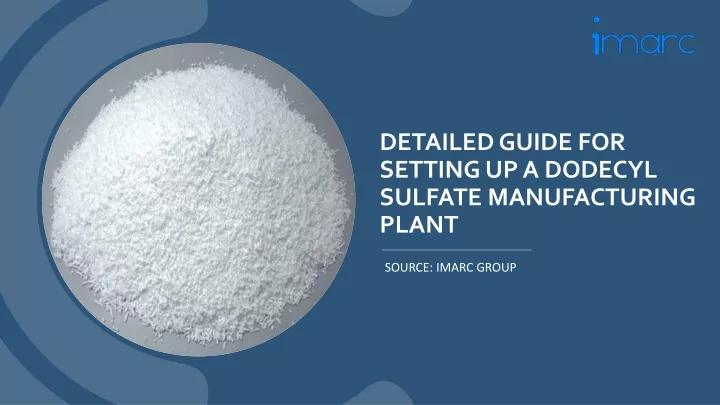 detailed guide for setting up a dodecyl sulfate