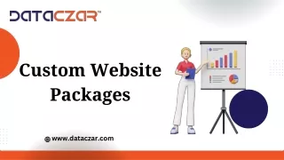 Custom Website design Packages By Dataczar