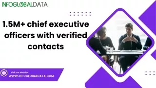 Gain Direct Access to CEOs with the Chief Executive Officer Email List