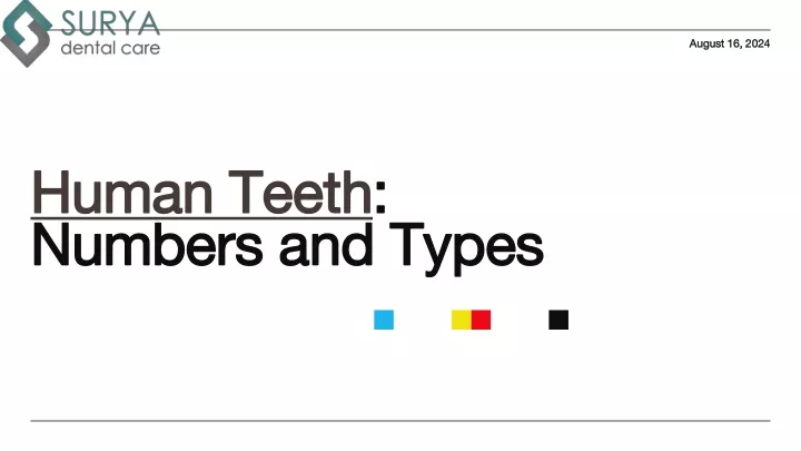 human teeth numbers and types