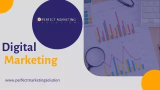 Light Grayish Blue Professional Digital Marketing Presentation