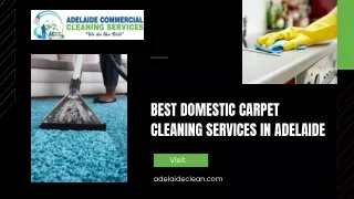 Best Domestic Carpet Cleaning Services in Adelaide