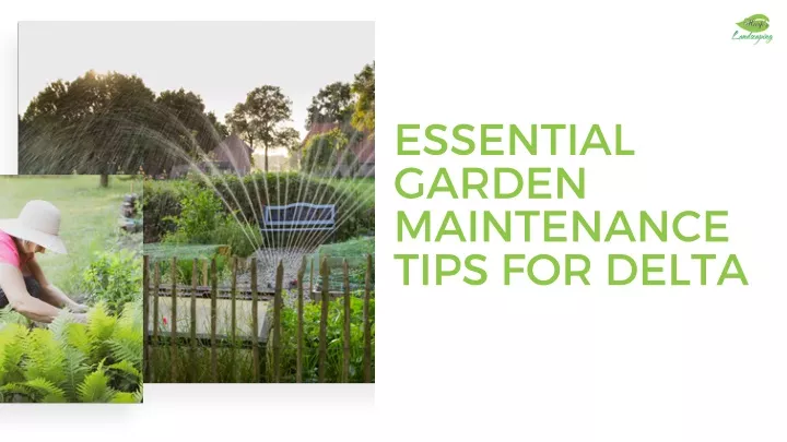 essential garden maintenance tips for delta