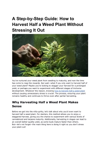 A Step-by-Step Guide_ How to Harvest Half a Weed Plant Without Stressing It Out