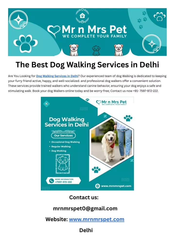 the best dog walking services in delhi