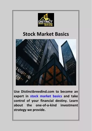 Stock Market Basics  Distinctbreedind.com