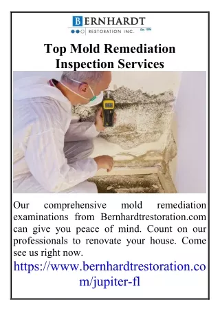 Top Mold Remediation Inspection Services