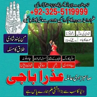 True Kala jadu, Black magic specialist in Germany and Kala ilam expert in Italy