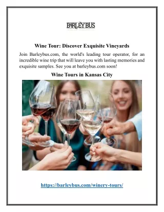 Wine Tour Discover Exquisite Vineyards